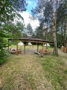 TrzepowoGlamping Ekologiczny Koziołeczek的公园里一组带帐篷的野餐桌