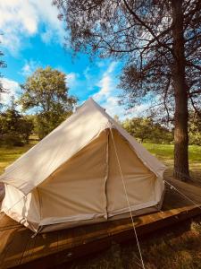 TrzepowoGlamping Ekologiczny Koziołeczek的一顶帆布帐篷坐落在树旁的木制平台上