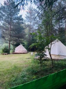 TrzepowoGlamping Ekologiczny Koziołeczek的两顶帐篷位于树木林立的田野