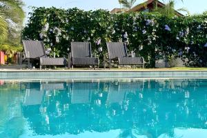 3 sedie sono sedute accanto alla piscina di Conforto e piscina no Centro de Bonito a Bonito