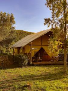 a large yellow tent sitting in a field at Le Piane Agriglamping in Le Foci