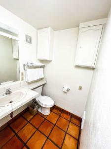 a bathroom with a toilet and a sink and a mirror at Big Horn Lodge in Moab