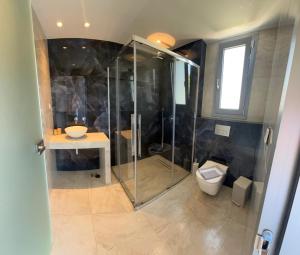 a bathroom with a shower and a toilet at Notia Luxury Living in Porto Koufo