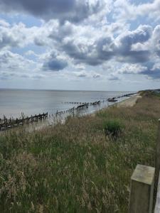 Naturlandskabet i nærheden af lejligheden