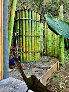 Vonkajšia záhrada v ubytovaní Cabaña privada Glamping via a termales + 7 fotografií
