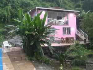 a pink house with a palm tree in front of it at Casa rosa in Majé