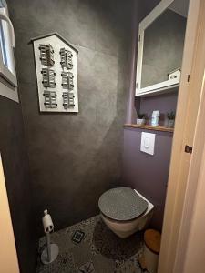 a small bathroom with a toilet and a mirror at La Dragonnière Maison AVEC jardin in Calais +13 photos