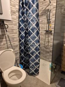 a bathroom with a toilet and a shower at Appartement avec terrasse in Vias