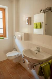 La salle de bains est pourvue d'un lavabo et de toilettes. dans l'établissement Ferienhaus am Rohntalbach, à Hinterriß