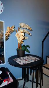 une table avec une plante en pot en haut dans l'établissement Cozy Loft Bed Mini Studio Golf View, à Gua Sai