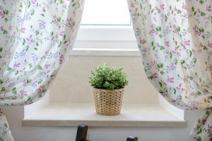 Fotografie z fotogalerie ubytování Apartment MiNo v Dubrovníku