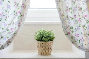 Fotografie z fotogalerie ubytování Apartment MiNo v Dubrovníku