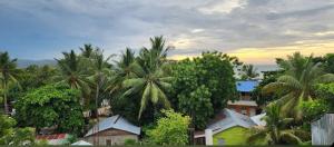 a group of palm trees and a yellow house at Villa Janel in Punta Rucia