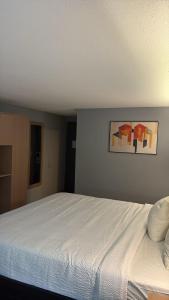Postel nebo postele na pokoji v ubytování Super 8 by Wyndham Mankato