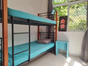 a bunk bed in a room with a window at Les poissons du lagon YH in Uturoa
