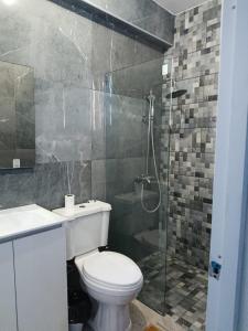 a bathroom with a toilet and a glass shower at Estudio a solo pasos de la playa , El Pueblito in Puerto Plata