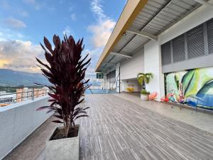 a balcony of a building with a plant on it at CH1204-Apartamento con linda vista en sector fundadores in Armenia
