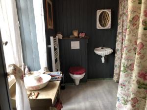 a bathroom with a toilet and a sink at Darlings Guest House in Saint-Sauveur-en-Puisaye