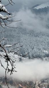 Фотография из галереи Blabla House Himachal в городе Pulga +48 фотографий