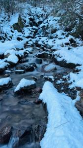 Фотография из галереи Blabla House Himachal в городе Pulga