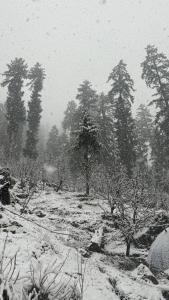 Фотография из галереи Blabla House Himachal в городе Pulga