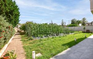 Zahrada ubytování Beautiful Apartment In Trappeto