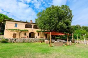 索维奇勒Historic Villa With Pool In Siena Hills的前面有一棵树的老房子