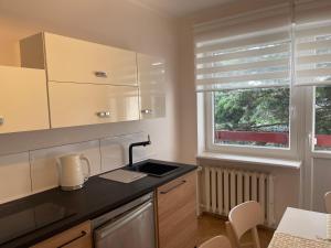 Kuchyňa alebo kuchynka v ubytovaní Apartamenty Przy Plaży Gdynia Orłowo