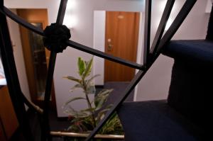 Foto dalla galleria di Hotel Concordia a Roma