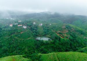 Naturlandskabet i nærheden af bed and breakfast-stedet + 49 billeder