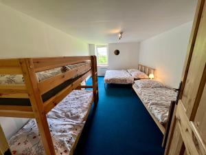 two bunk beds in a room with blue carpet at Chalupa Pod Břízou in Dolní Morava