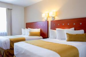 Postel nebo postele na pokoji v ubytování Comfort Inn Queretaro Tecnologico + 37 fotografií