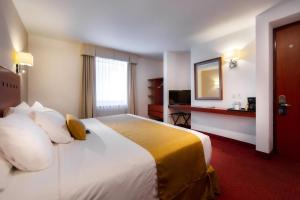 Comfort Inn Queretaro Tecnologico的电视和/或娱乐中心