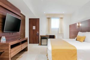 Comfort Inn Queretaro Tecnologico的电视和/或娱乐中心