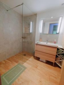 a bathroom with a sink and a glass shower at Rez de Jardin appartement T3 76 m2 6 personnes in Saint-Bonnet-en-Champsaur