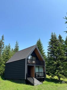 a small black building with a balcony and trees at Black Chalet in Žabljak