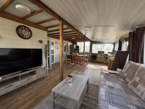 a living room with a couch and a tv at Le Chalet du Bonheur in Puget-sur Argens