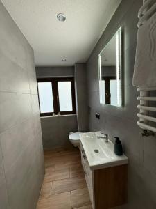 a bathroom with a sink and a toilet and a mirror at Apartament Chowańcówka z widokiem na góry typu studio obok stoków narciarskich i blisko basenów termalnych in Bukowina Tatrzańska