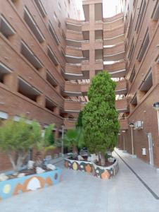 Budova, kde se apartmán nachází