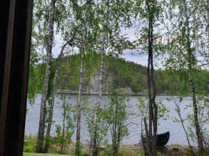 a view of a lake through a window with trees at Mini cottage by lake Saimaa in Enonkoski +11 photos