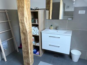 a bathroom with a sink and a mirror at Apartma Klemenc in Bohinj +30 photos