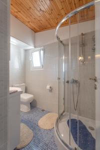 a bathroom with a shower and a toilet at Cozy Beachfront Cottage with Sea Loungers & Outdoor Shower near Eretria in Eretria
