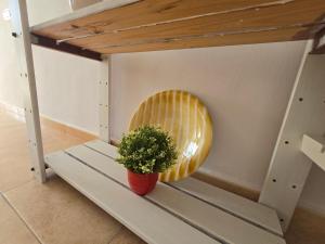 a potted plant sitting on a shelf in a room at La Casa de la Cerámica in Níjar