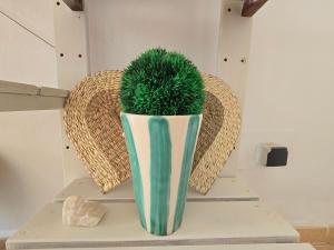 a green plant in a striped vase on a shelf at La Casa de la Cerámica in Níjar