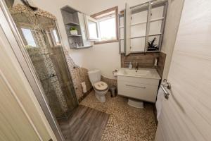a bathroom with a toilet and a sink and a shower at Villa BiBo in Linardići +15 photos