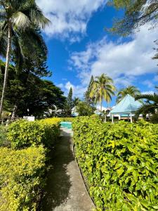 a path through a hedge with a house and palm trees at Nenuphar 3 Bedroom-Apartment in Flic-en-Flac