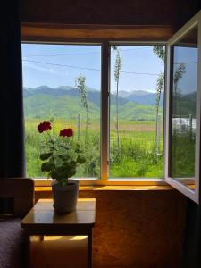 Fotografie z fotogalerie ubytování Meykin Resort v destinaci Krasnyy Most