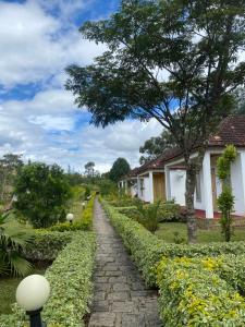 En hage utenfor Andasibe Sifaka Lodge