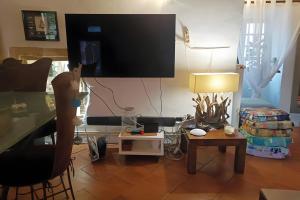 TV a/nebo společenská místnost v ubytování Les Mimosas