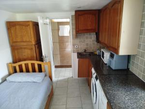 a small kitchen with a bed and a sink at Smallest bird's HAVEN in Bloxwich